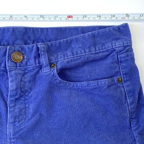 J.Crew Womens Toothpick Corduroy Skinny Ankle Pants Size 29 Blue Stretch Fall - Picture 10 of 12